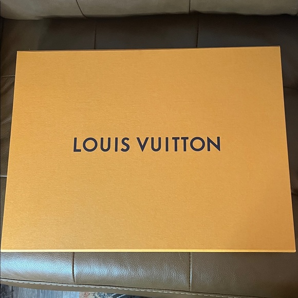Louis Vuitton Box & Bag - Picture 4 of 11